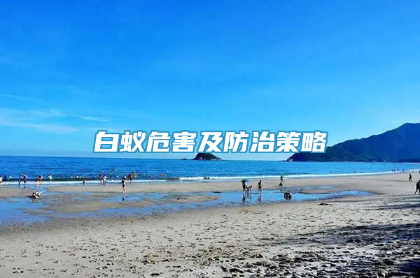 白蚁危害及防治策略