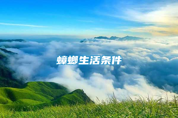 蟑螂生活条件