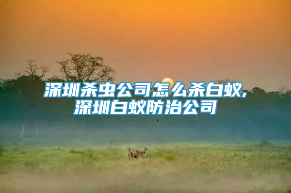 深圳杀虫公司怎么杀白蚁,深圳白蚁防治公司