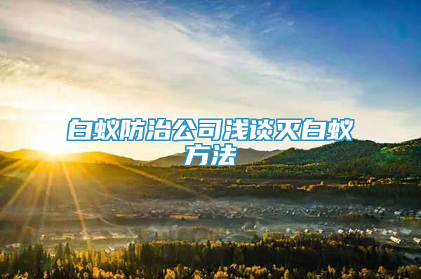 白蚁防治公司浅谈灭白蚁方法