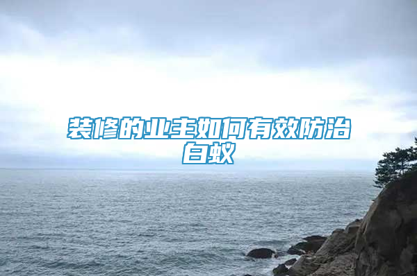 装修的业主如何有效防治白蚁