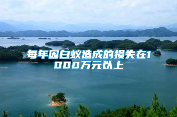 每年因白蚁造成的损失在1000万元以上