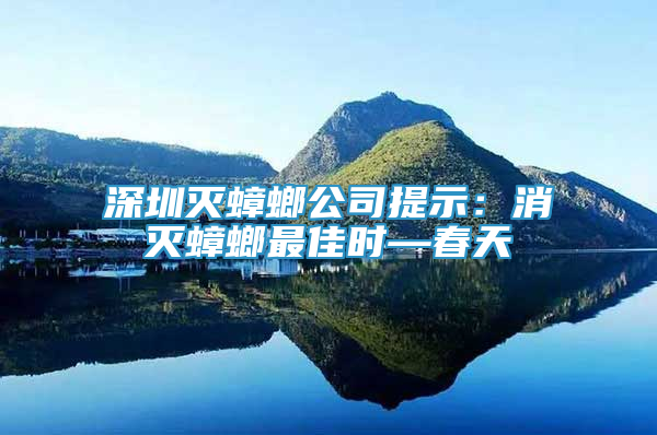 深圳灭蟑螂公司提示：消灭蟑螂最佳时—春天