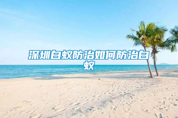 深圳白蚁防治如何防治白蚁