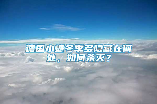 德国小蠊冬季多隐藏在何处，如何杀灭？