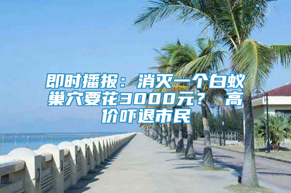 即时播报：消灭一个白蚁巢穴要花3000元？ 高价吓退市民