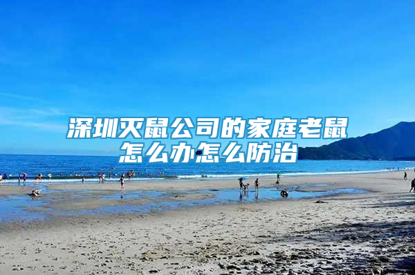 深圳灭鼠公司的家庭老鼠怎么办怎么防治