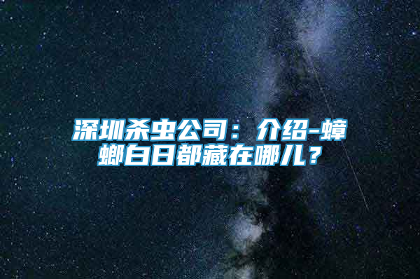 深圳杀虫公司：介绍-蟑螂白日都藏在哪儿？