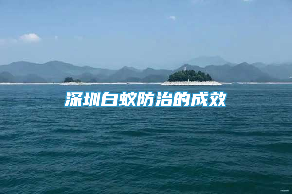 深圳白蚁防治的成效