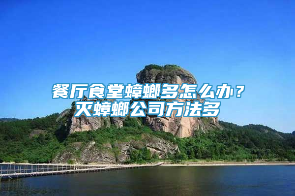餐厅食堂蟑螂多怎么办？灭蟑螂公司方法多