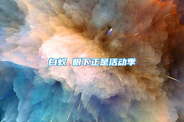 白蚁 眼下正是活动季