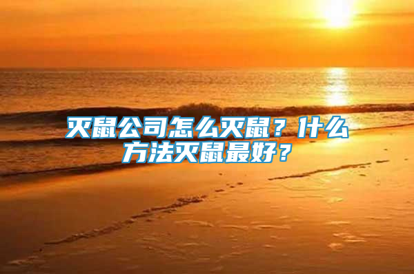 灭鼠公司怎么灭鼠？什么方法灭鼠最好？