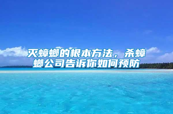 灭蟑螂的根本方法，杀蟑螂公司告诉你如何预防
