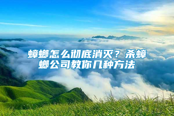 蟑螂怎么彻底消灭？杀蟑螂公司教你几种方法