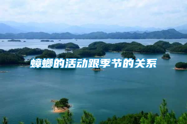蟑螂的活动跟季节的关系