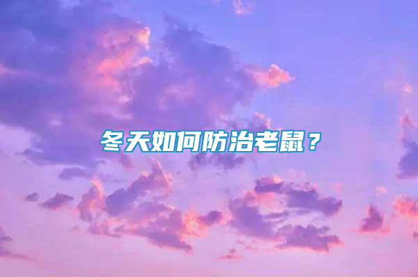 冬天如何防治老鼠？