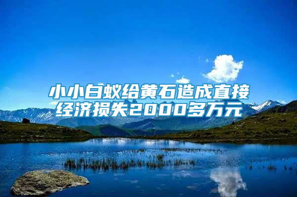小小白蚁给黄石造成直接经济损失2000多万元