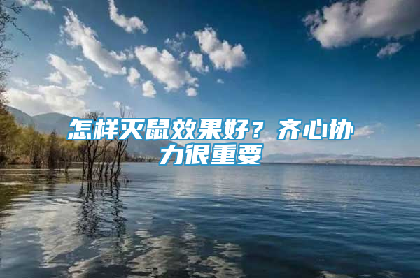 怎样灭鼠效果好？齐心协力很重要