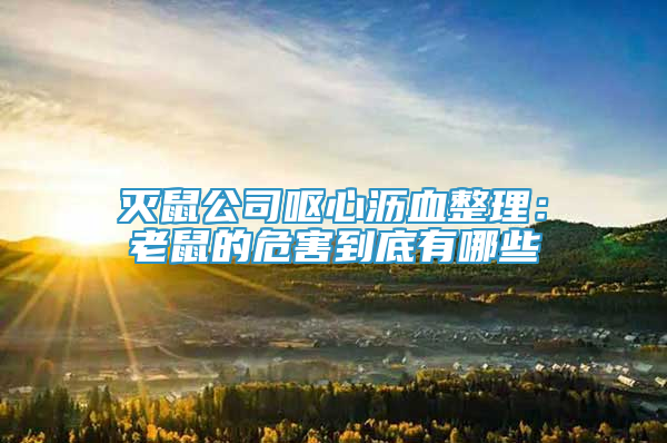 灭鼠公司呕心沥血整理：老鼠的危害到底有哪些