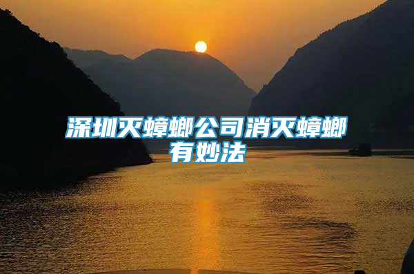 深圳灭蟑螂公司消灭蟑螂有妙法