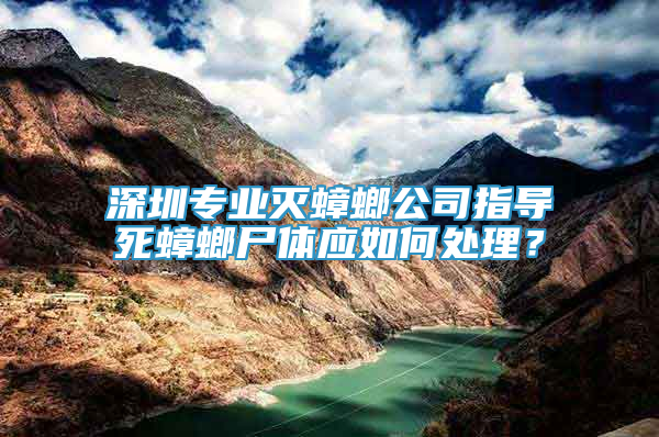 深圳专业灭蟑螂公司指导死蟑螂尸体应如何处理？