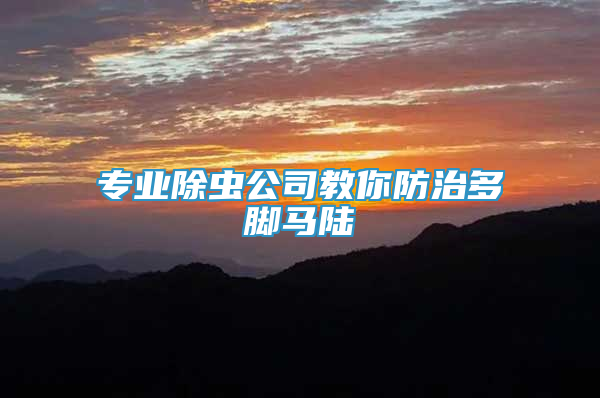 专业除虫公司教你防治多脚马陆