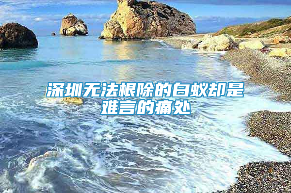 深圳无法根除的白蚁却是难言的痛处