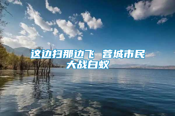 这边扫那边飞 蓉城市民大战白蚁