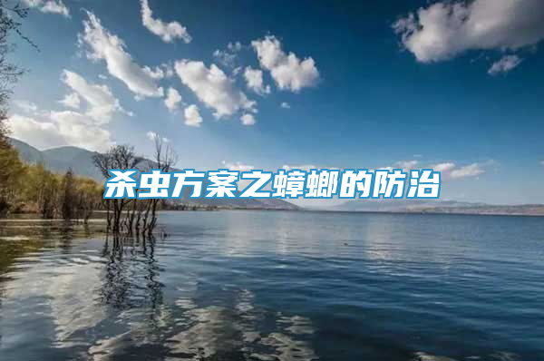 杀虫方案之蟑螂的防治