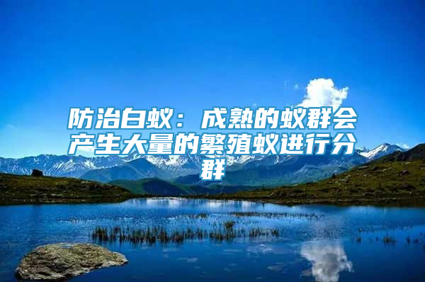 防治白蚁：成熟的蚁群会产生大量的繁殖蚁进行分群