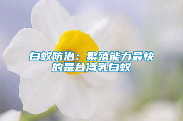 白蚁防治：繁殖能力最快的是台湾乳白蚁