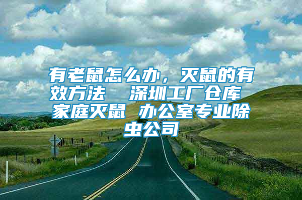 有老鼠怎么办，灭鼠的有效方法  深圳工厂仓库 家庭灭鼠 办公室专业除虫公司