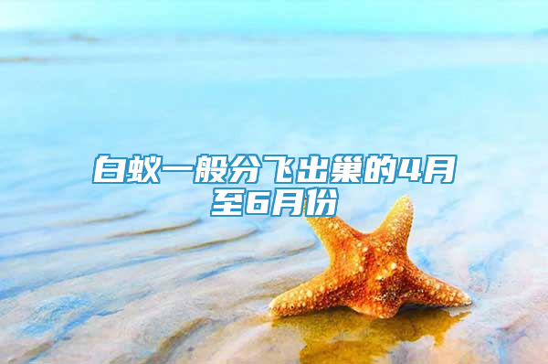 白蚁一般分飞出巢的4月至6月份