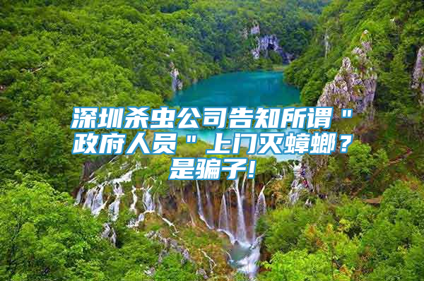 深圳杀虫公司告知所谓＂政府人员＂上门灭蟑螂？是骗子!