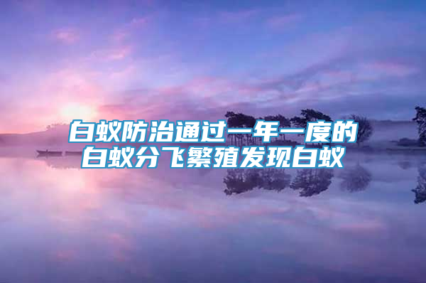 白蚁防治通过一年一度的白蚁分飞繁殖发现白蚁