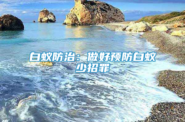 白蚁防治：做好预防白蚁少招罪