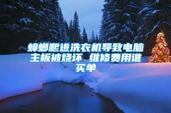 蟑螂爬进洗衣机导致电脑主板被烧坏 维修费用谁买单