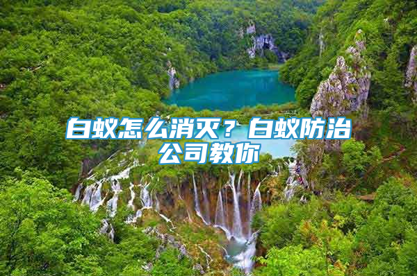 白蚁怎么消灭？白蚁防治公司教你