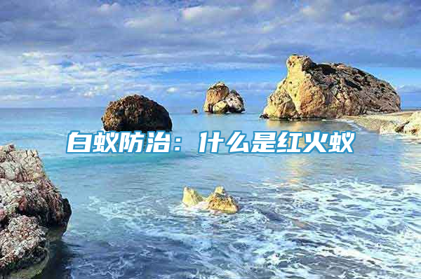 白蚁防治：什么是红火蚁