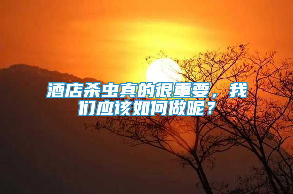 酒店杀虫真的很重要，我们应该如何做呢？