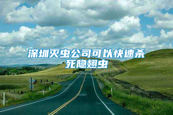 深圳灭虫公司可以快速杀死隐翅虫