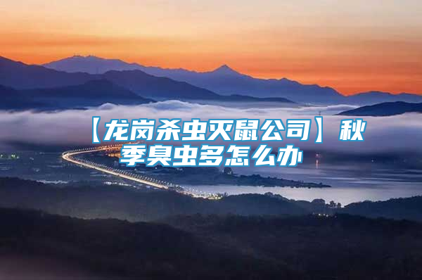 【龙岗杀虫灭鼠公司】秋季臭虫多怎么办