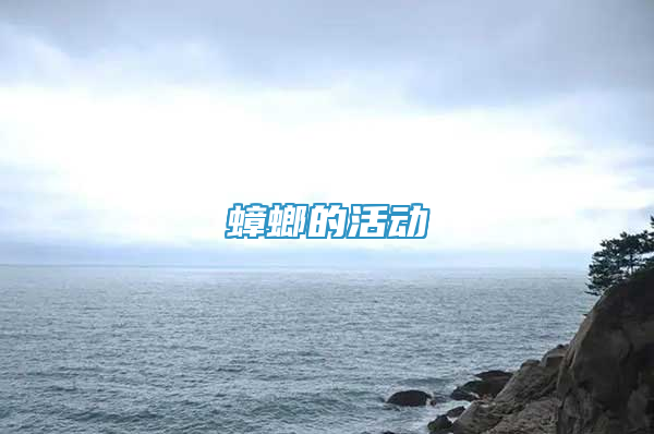 蟑螂的活动