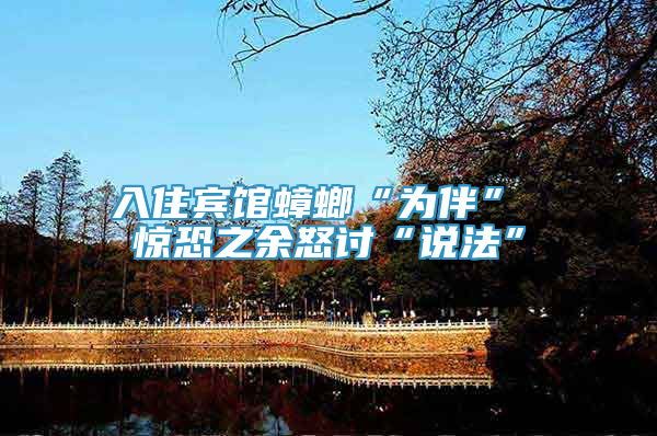 入住宾馆蟑螂“为伴” 惊恐之余怒讨“说法”