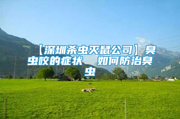 【深圳杀虫灭鼠公司】臭虫咬的症状  如何防治臭虫