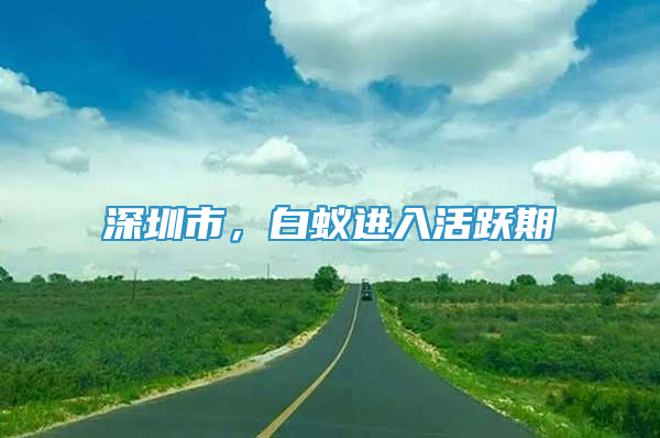 深圳市，白蚁进入活跃期