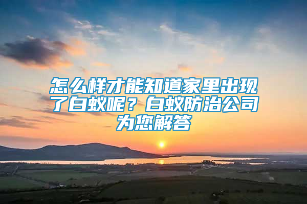 怎么样才能知道家里出现了白蚁呢？白蚁防治公司为您解答