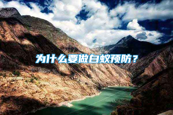 为什么要做白蚁预防？