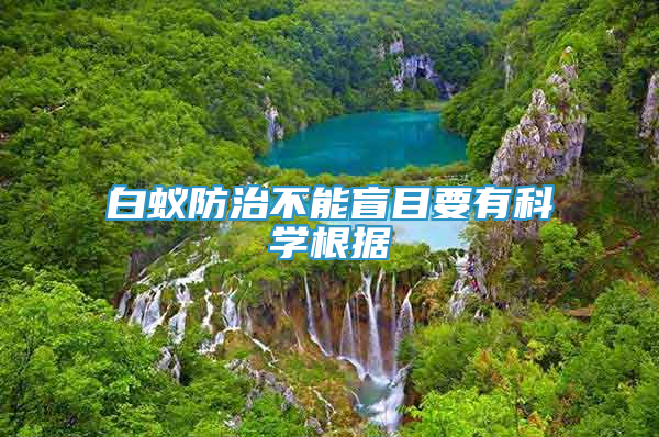 白蚁防治不能盲目要有科学根据