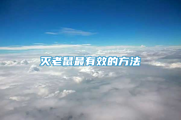 灭老鼠最有效的方法